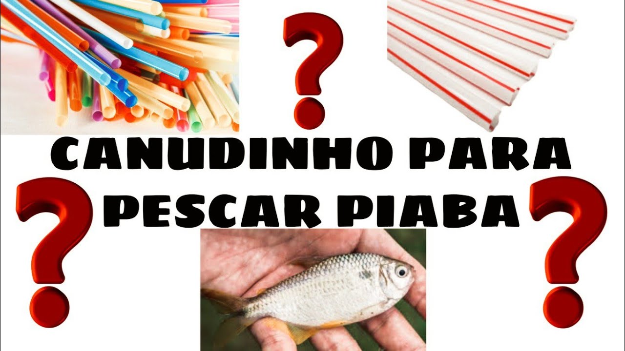 MELHOR SISTEMA PARA PESCAR PIABA.