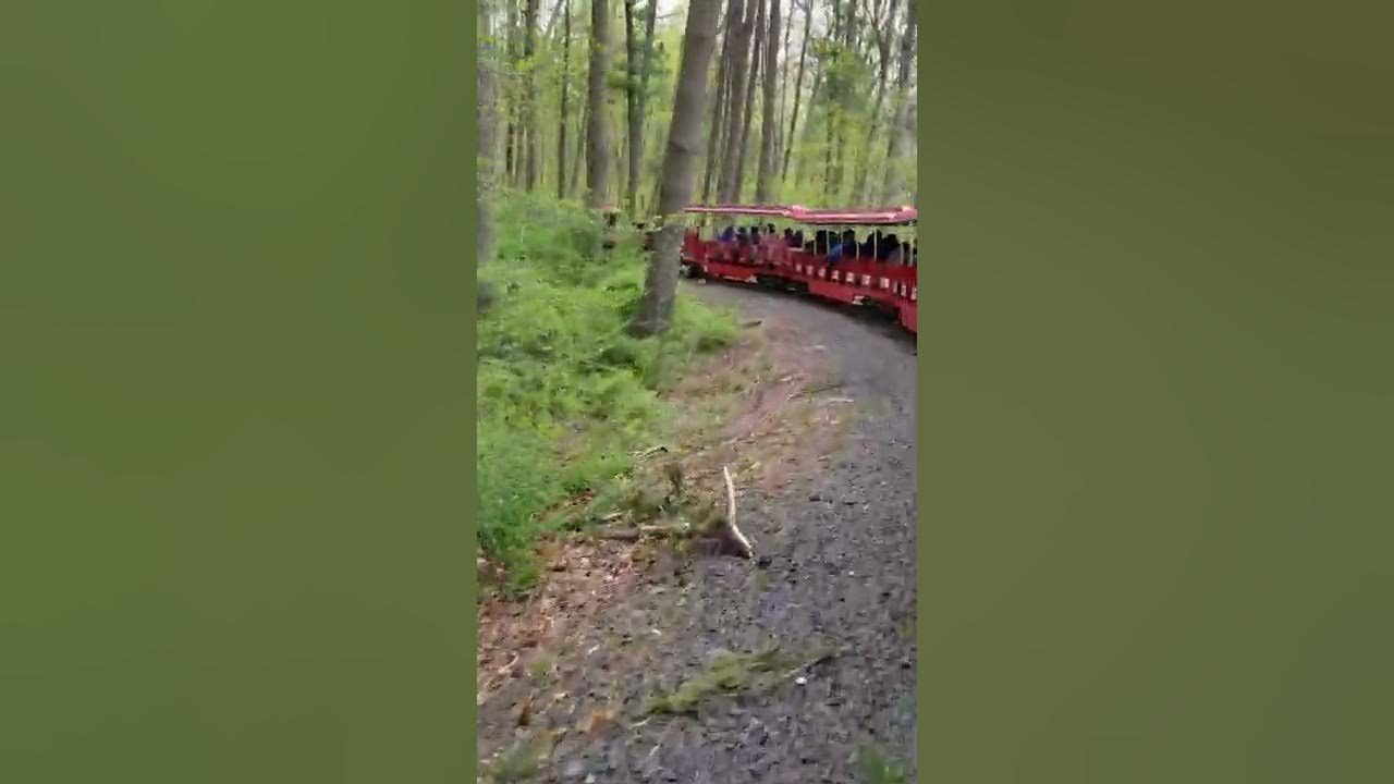 Turtle back zoo train ride YouTube