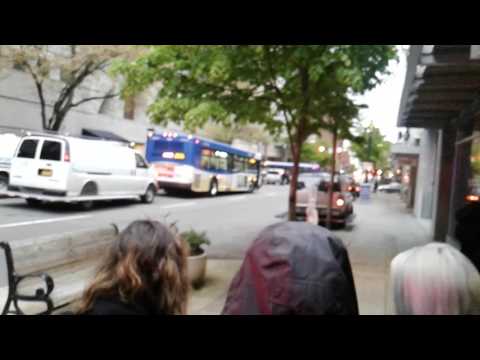 protesters yelling at cops