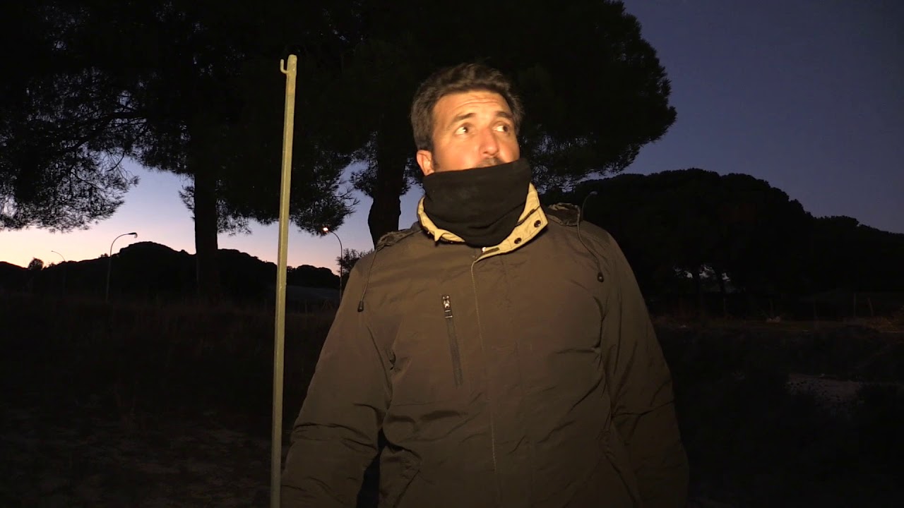 Silvestrismo en Matalascañas(Huelva)