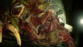 Resident Evil 2 Remake - G Stage 2 Claire B Boss Fight