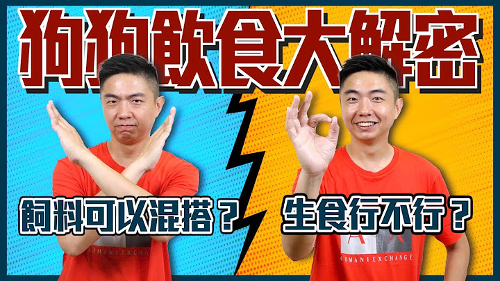 狗狗飲食大解密！飼料可以混搭？生食能不能吃？小心吃了這個就送醫！｜熊爸估狗 - 天天要聞