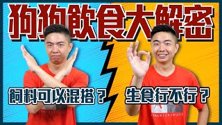 狗狗飲食大解密！飼料可以混搭？生食能不能吃？小心吃了這個就送醫！｜熊爸估狗