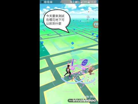 Pokemon Go 測試#4在櫻花下待著可以抓到什麼呢？