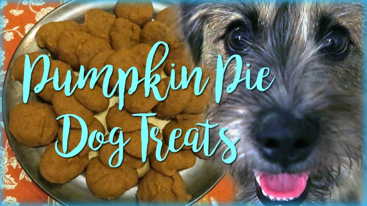 Homemade Pumpkin Pie Dog Treats