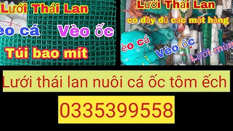 Tráng - vèo - mùng nuôi cá ốc tôm ếch lươn Lưới Thái lan sử dụng trên 3 năm. 0335399558