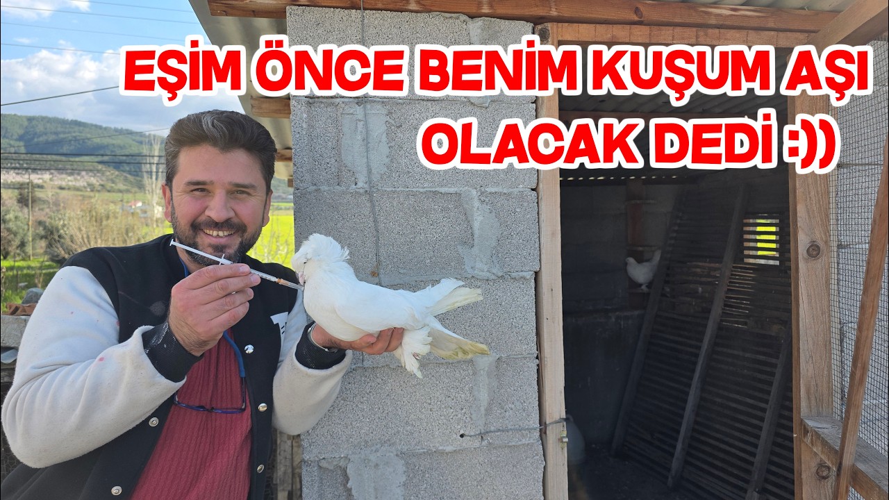 Tüm Güvercinlere Aşı Yaptık