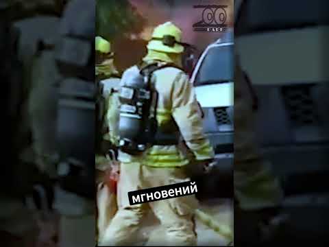 «Дружба превыше всего»: отважный домовладелец спасает свою собаку из горящего дома