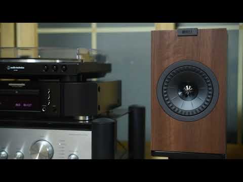 KEF Q150   엄인호  한영애  김동환  정경화  권인하 - 세월이 한참 흐른 뒤에야 ( 김현식 추모 10주년 헌정음반 )