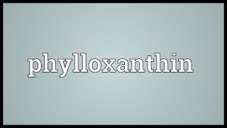 Phylloxanthin Meaning