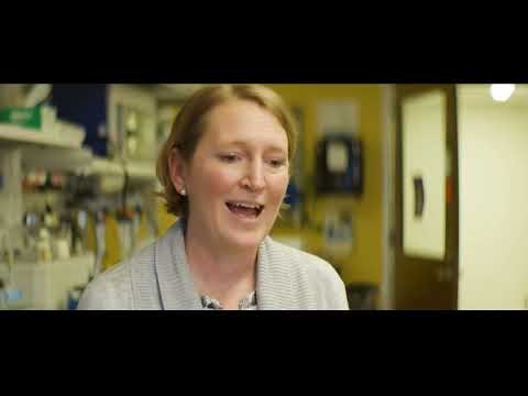 Why Genetic Testing