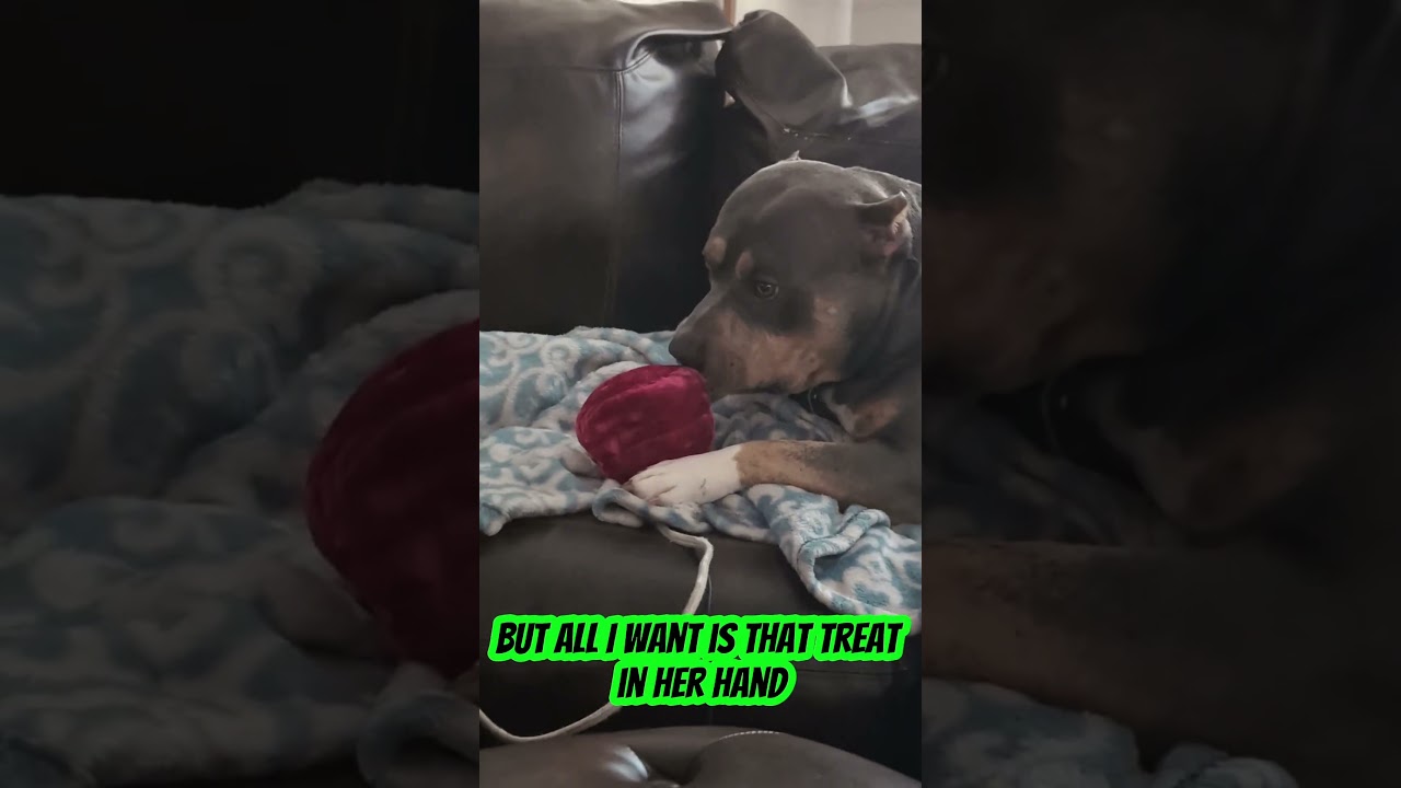 she needs therapy 😂 