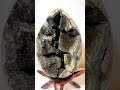 Giant Dragon Egg Geode with Druzy #crystals #crystalshop #gemstone