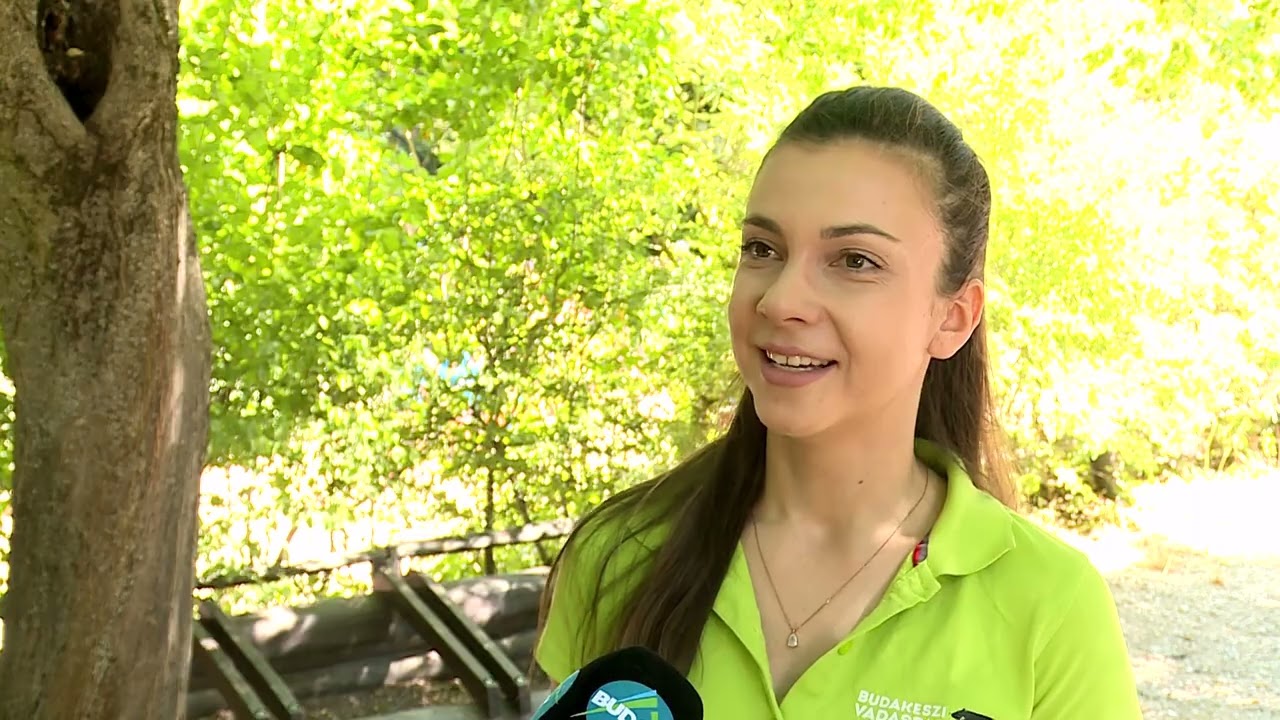 Vackortábor – elindultak a Budakeszi Vadaspark közkedvelt táborai