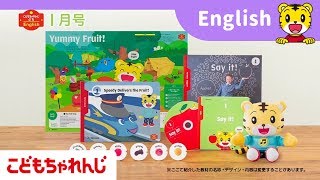 こどもちゃれんじ　ぷちEnglish1年分DVD&picture book