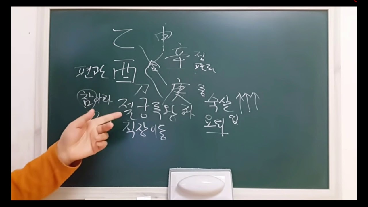 🍁 을유일주 일주론 - 피클의 행복한 명리