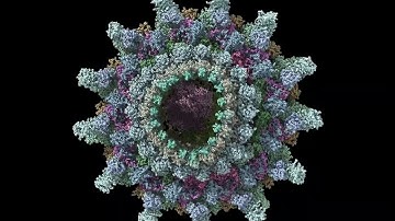 T4SS IcmX Plug Secretion by Effector Protein SidI 5 pm/ps Simulation Bottom View