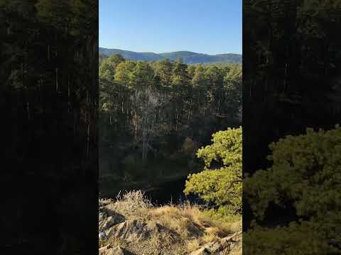 #КУСА, ГОРА АРГУС, ОСЕНЬ | KUSA, ARGUS MOUNTAIN, AUTUMN #гораАргус #осень2024 #бабьелето #ЮжныйУрал