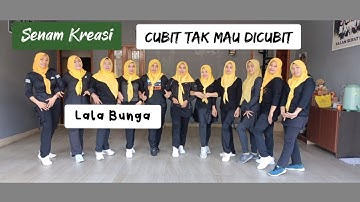 [Senam Kreasi] CUBIT TAK MAU DICUBIT | Lala Bunga