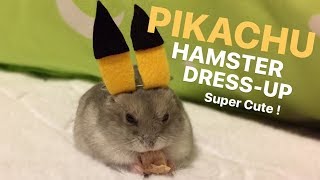 Pikachu Hamster? Cute & Funny Hamster Dress-Up | wukong_qq