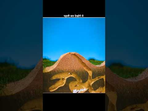 How Big Can an Ant Colony Be? 😱 #shorts #viral #trending #youtubeshorts #facts