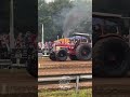 IHC 1246 von der Waffenschmiede Haale🔥 #pulling #tractorpulling #treckertreck #ihc #ihc1246