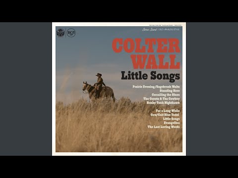 Corralling the Blues - Colter Wall