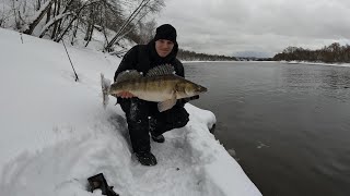 СУДАК НА 6 КГ!! Февраль. Москва-река