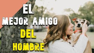 POR Qué el PERRO es el Mejor AMIGO del HOMBRE