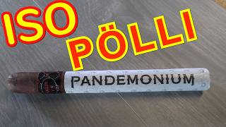 Sikaritesti Asylum Pandemonium 60 X 8,5