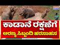 Rescues Wild Elephant Stuck in Water Tank : ಕಾಡಾನೆ ರಕ್ಷಣೆಗೆ ಅರಣ್ಯ ಸಿಬ್ಬಂದಿ ಹರಸಾಹಸ | Power TV News