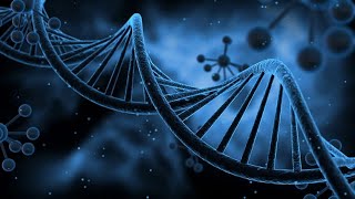 Structure of the DNA molecule