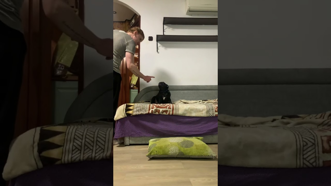 Сдержалась или нет?) проверяем выдержку мопсика🐶☺️🙈