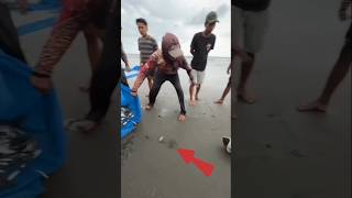 When a stingray gets caught in the fishermen's nets.🐟 #fish #stingray #fishman #shorts #short #viral