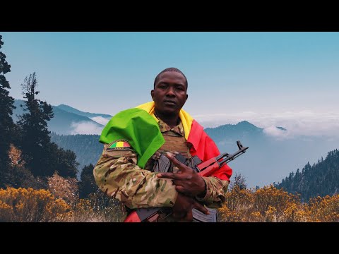 Video Viesta - FAMA (Clip officiel) Forces Armées Maliennes - youtube