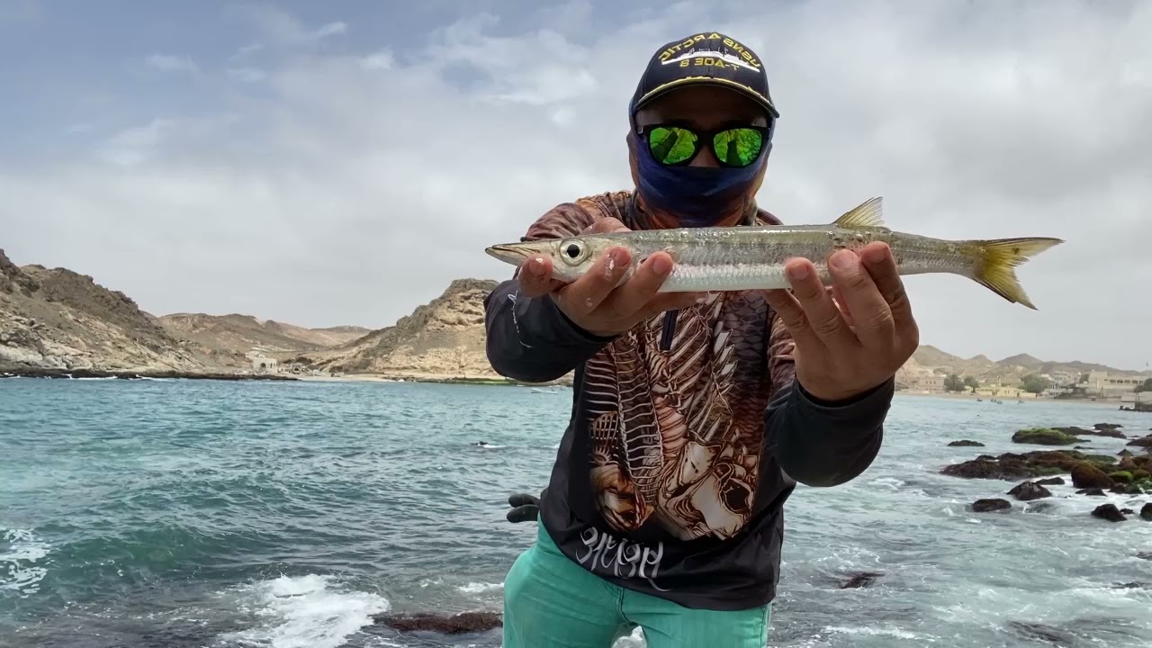 Barracudas on Ultra Light Setup | Shimano Nexave 3000 | Littma The One Rod Littma Braided line 12lbs