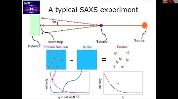 Basic SAXS Data Analysis and Validation
