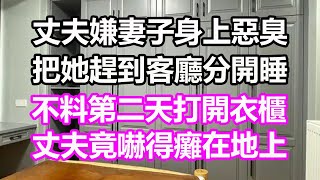 丈夫嫌妻子身上惡臭把她趕到客廳分開睡不料第二天打開衣櫃丈夫竟嚇得癱在地上#淺談人生#民間故事#為人處世#生活經驗#情感故事#養老#花開富貴#深夜淺讀#幸福人生#中年#老年