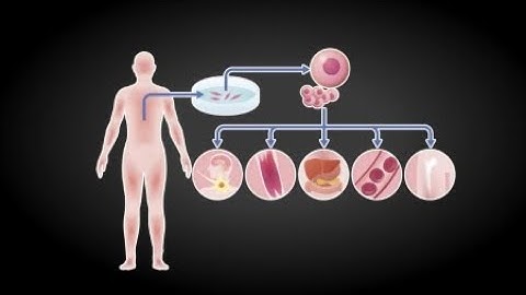 노화 비밀 규명 속속…기대 수명 