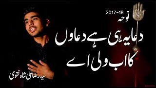 noha dua yahi hai duayo ka ab wali aye syed raza ali naqvi 2017