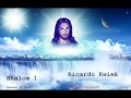 Ricardo kwiek  shalom 1  track nr 2