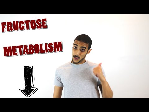 Fructose metabolism step by step