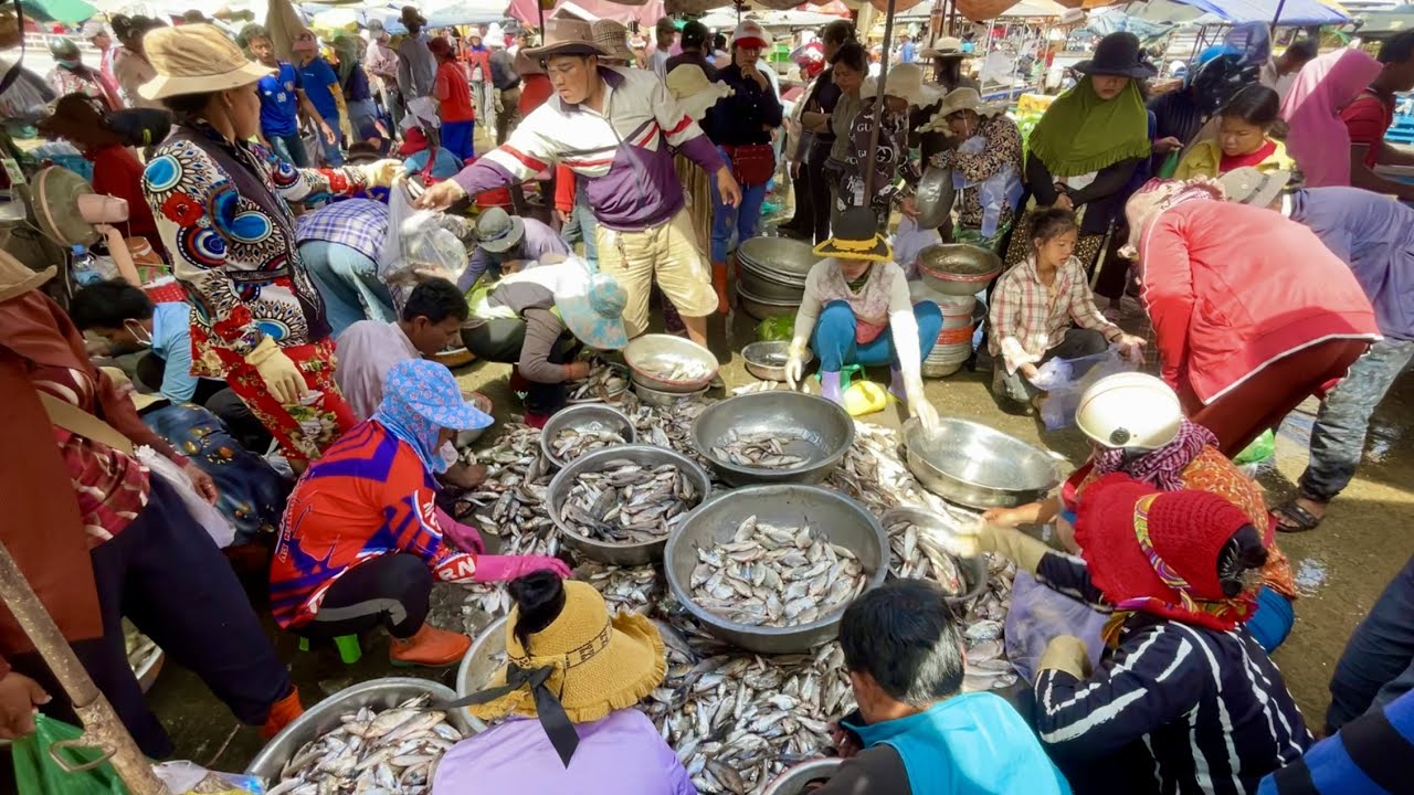 This Is Site For Distribution Fish At Street Kilo #9 In Phnom Penh Cambodia