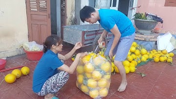 Tân Hưng Vĩnh Bảo quê tôi