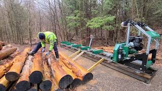 Working through a mountain of logs!