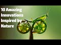 10 Amazing Innovations Inspired by Nature
