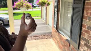 IMG 4465