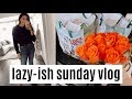 SUNDAY VLOG: trader joes haul, rainy/cozy day, skin update