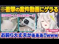 スマホを絶対に破壊したい運営vs頑丈すぎて耐えまくるコラボケースの耐久動画に爆笑が止まらないゲライオンししろｗ面白シーンまとめ【獅白ぼたん/ホロライブ/切り抜き】