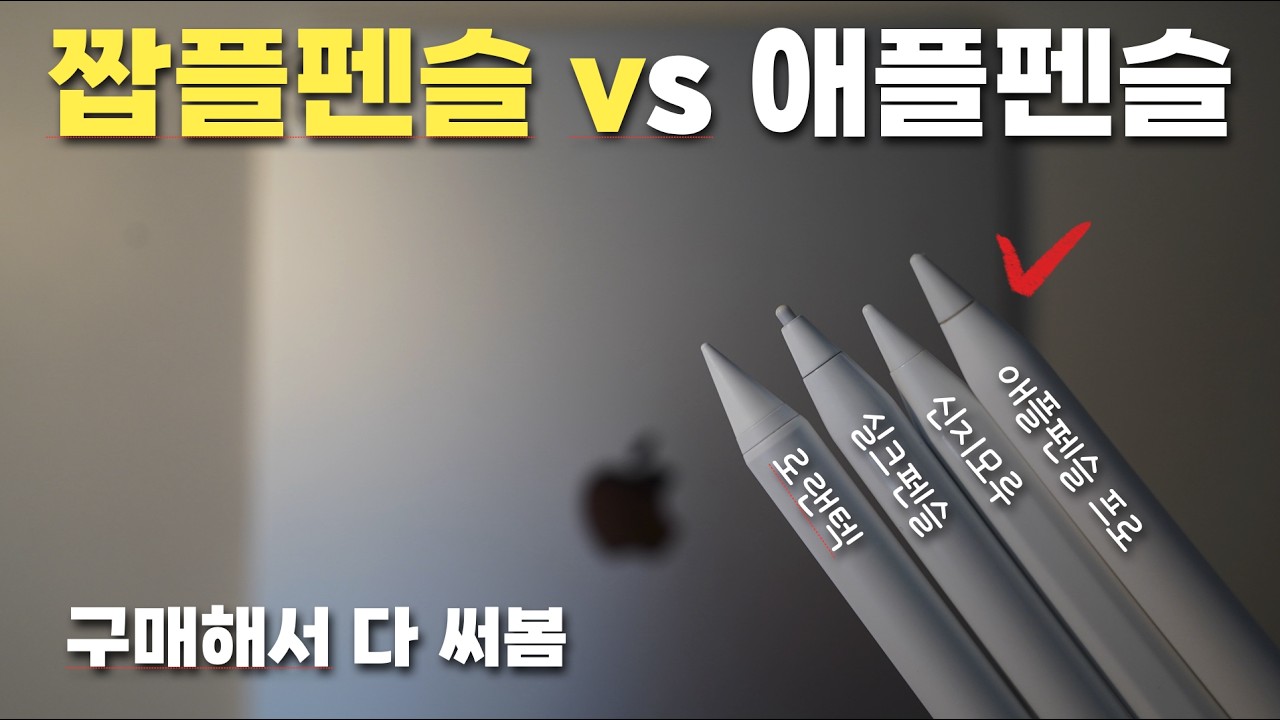 짭플펜슬 써보니 조금 당황스러운데요? 나는 왜 지금까지 20만원이나 주고 애플펜슬 프로를 구매했나..